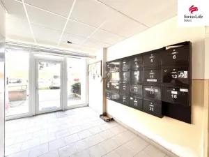 Prodej bytu 3+1, Plzeň, Hodonínská, 78 m2