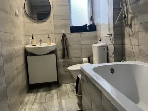 Pronájem bytu 1+1, Ústí nad Labem, Bratislavská, 38 m2