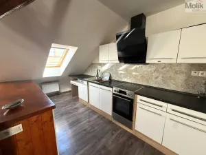 Pronájem bytu 3+kk, Teplice - Trnovany, Thámova, 95 m2