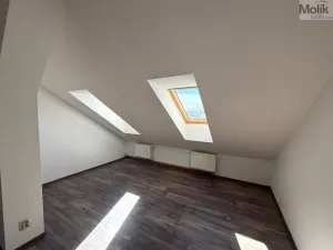 Pronájem bytu 3+kk, Teplice - Trnovany, Thámova, 95 m2