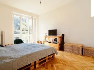 Prodej bytu 2+kk, Praha - Karlín, Sokolovská, 47 m2