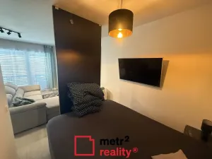 Pronájem bytu 1+kk, Olomouc, Wolkerova, 43 m2