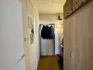 Pronájem bytu 1+kk, České Budějovice - České Budějovice 2, K. Chocholy, 29 m2