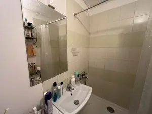 Pronájem bytu 1+kk, České Budějovice - České Budějovice 2, K. Chocholy, 29 m2