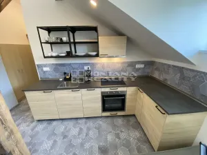 Pronájem bytu 1+kk, Olomouc, Praskova, 54 m2