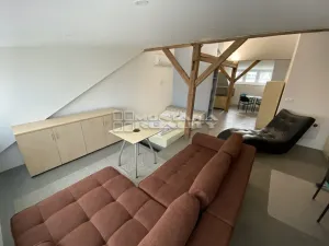 Pronájem bytu 1+kk, Olomouc, Praskova, 54 m2