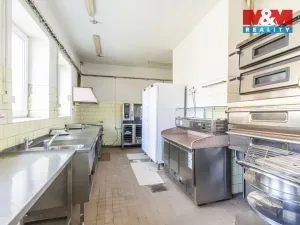 Prodej restaurace, Slezské Rudoltice, 360 m2