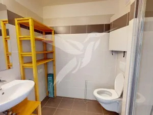 Pronájem bytu 1+kk, Plzeň, Stehlíkova, 33 m2