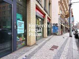 Pronájem obchodního prostoru, Praha - Nové Město, Vodičkova, 627 m2