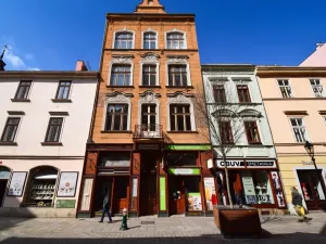 Prodej činžovního domu, Plzeň - Vnitřní Město, Bedřicha Smetany, 918 m2