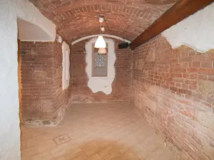 Prodej činžovního domu, Plzeň - Vnitřní Město, Bedřicha Smetany, 918 m2