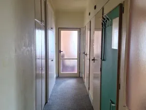 Prodej bytu 3+1, Stříbro, Brožíkova, 56 m2