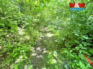 Prodej rybníku, Skalice u České Lípy, 3255 m2