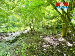 Prodej rybníku, Skalice u České Lípy, 3255 m2