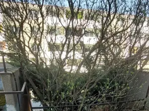 Dražba pozemku, Brno, 30 m2