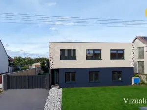 Prodej chalupy, Strachotín, Šakvická, 270 m2