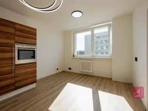 Prodej bytu 2+kk, Brno, třída Generála Píky, 47 m2