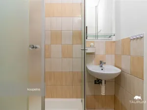 Prodej bytu 1+1, Praha - Libeň, V zahradách, 29 m2