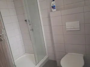 Pronájem bytu 1+kk, Chotěšov, Ořechová, 38 m2