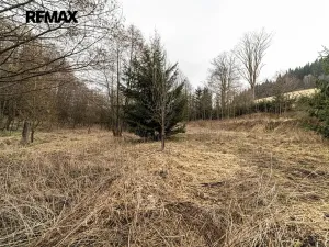 Prodej pozemku pro bydlení, Červená Voda, 1100 m2