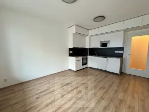 Pronájem bytu 1+kk, Brno, Spolková, 35 m2
