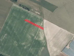 Prodej pole, Kostelní Hlavno, 19238 m2