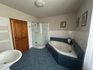 Pronájem rodinného domu, Písek, V Lukách, 400 m2