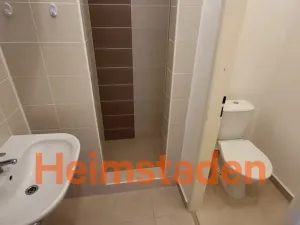 Pronájem bytu 1+kk, Albrechtice, Bažantnice, 23 m2