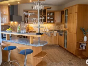 Pronájem rodinného domu, Nedabyle, 229 m2