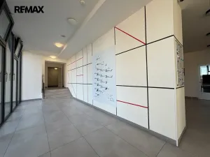 Pronájem bytu 1+kk, Praha - Vinohrady, Perucká, 25 m2