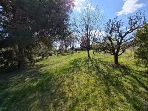 Prodej zahrady, Otaslavice, 976 m2