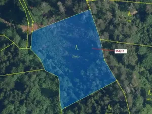 Dražba lesa, Jílové u Držkova, 3821 m2