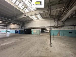 Pronájem skladu, Příbram - Příbram I, Obecnická, 9000 m2