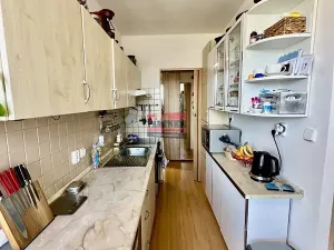 Prodej bytu 3+1, Veselí nad Lužnicí, Blatské sídliště, 78 m2