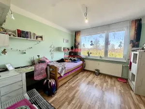 Prodej bytu 3+1, Veselí nad Lužnicí, Blatské sídliště, 78 m2