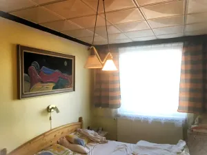 Prodej rodinného domu, Strakonice, Vrchlického, 365 m2