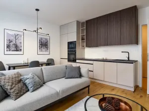 Prodej bytu 2+kk, Praha - Nusle, Muzikova, 40 m2