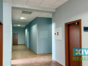 Pronájem kanceláře, Ostrava, Pavlovova, 13 m2