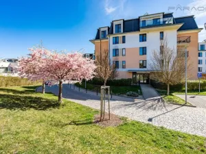 Prodej bytu 3+kk, Praha - Hloubětín, Nademlejnská, 79 m2