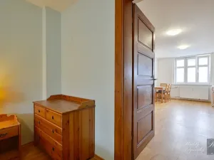 Prodej bytu 1+1, Ústí nad Labem, Sadová, 52 m2