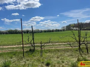 Prodej zahrady, Ostopovice, 409 m2