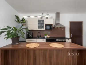 Prodej bytu 1+kk, České Budějovice - České Budějovice 2, Husova tř., 36 m2