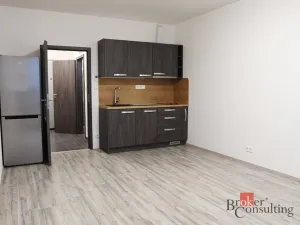 Pronájem bytu 1+kk, Plzeň - Jižní Předměstí, Nemocniční, 30 m2