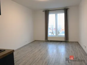 Pronájem bytu 1+kk, Plzeň - Jižní Předměstí, Nemocniční, 30 m2