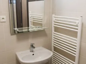 Pronájem bytu 1+kk, Plzeň - Jižní Předměstí, Nemocniční, 30 m2