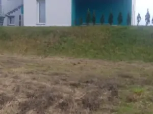 Prodej rodinného domu, Uherský Brod, Františka Kožíka, 265 m2