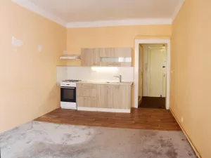 Prodej bytu 2+kk, Praha - Žižkov, Žerotínova, 40 m2