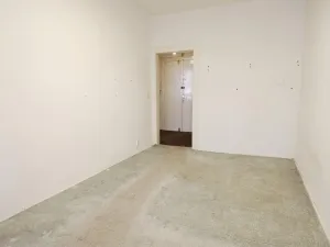 Prodej bytu 2+kk, Praha - Žižkov, Žerotínova, 40 m2