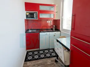 Prodej bytu 1+1, Praha - Troja, Krynická, 29 m2