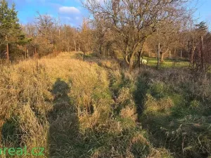 Pronájem zahrady, Brno, Podhájí, 1359 m2